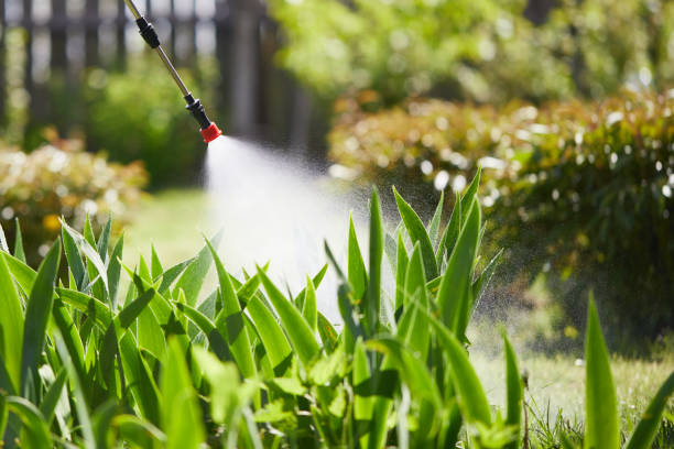 24/7 Emergency Cockroach Control experts in McAllen, TX