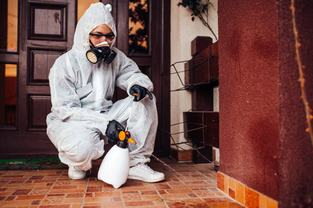 Reliable Cockroach Control contractor in McAllen, TX by Nex Pest Control